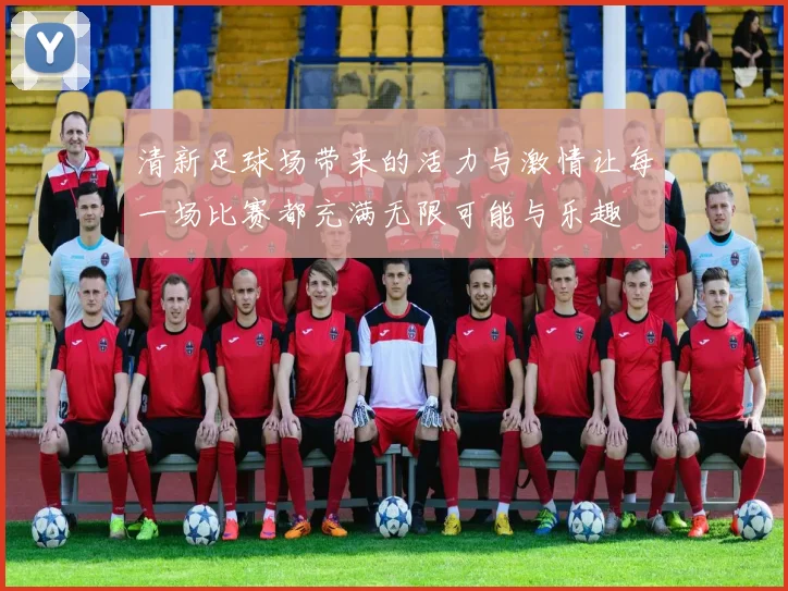 清新足球场带来的活力与激情让每一场比赛都充满无限可能与乐趣