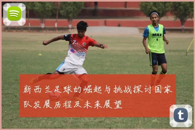 新西兰足球的崛起与挑战探讨国家队发展历程及未来展望