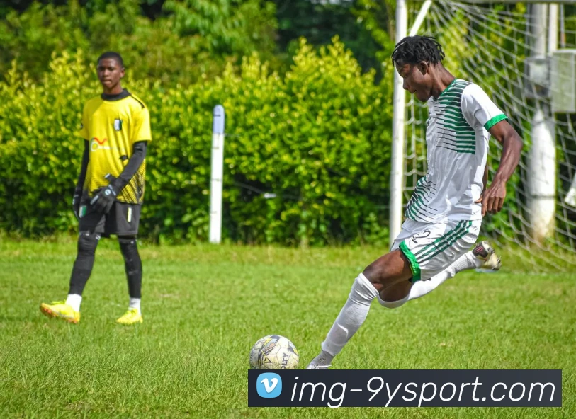 九游体育官方网站APP 封面图